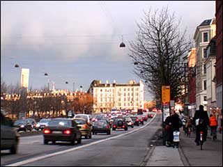 K&oslash; p&aring; Fredensgade i K&oslash;benhavn
Foto: Helge Bay d. 23.02.06